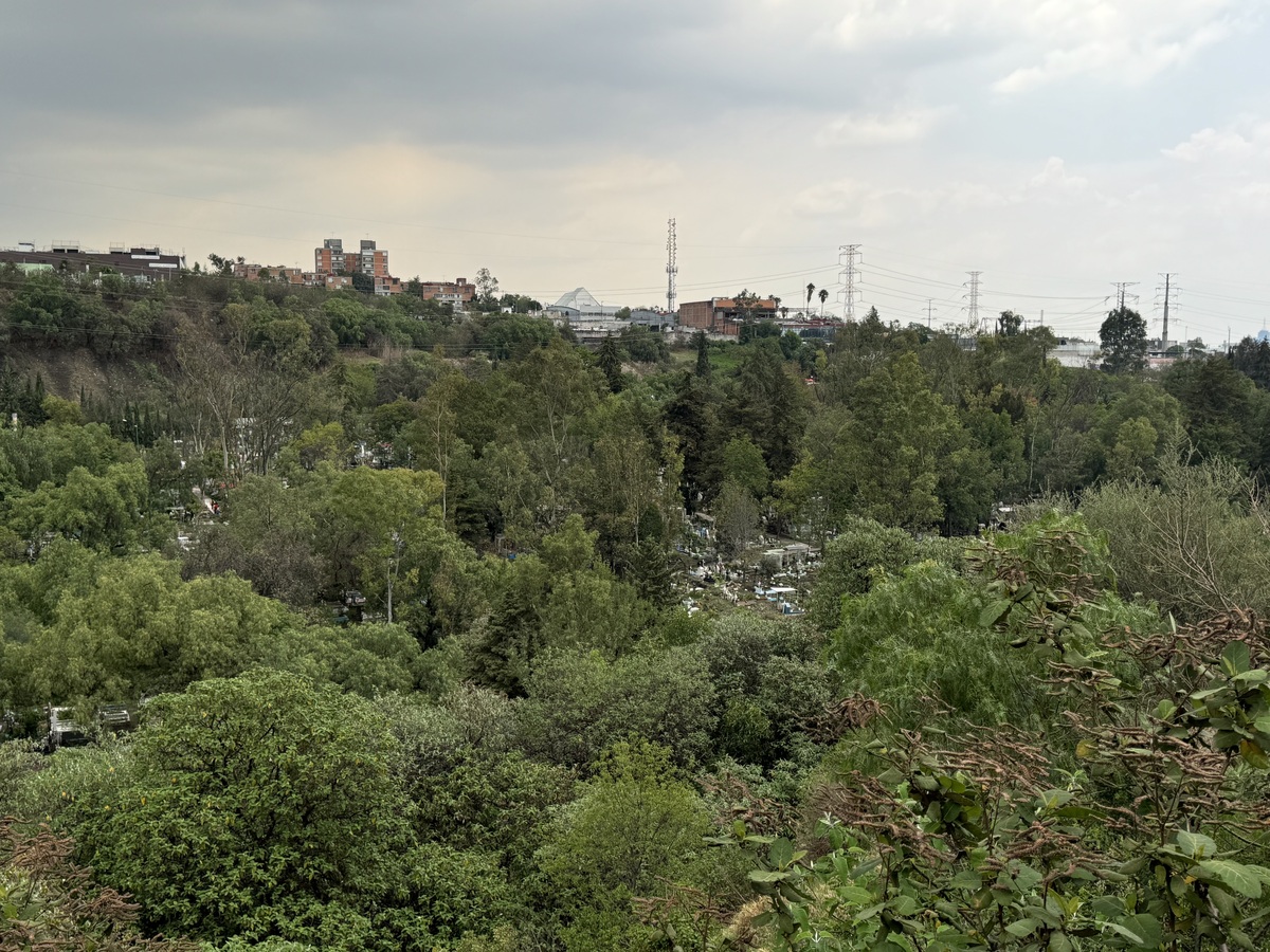 Terreno muy bien ubicado en parte baja de las Aguila.