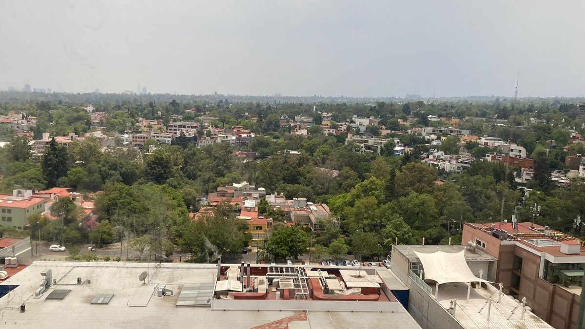 se  renta, oficina o consultorio en palmas, lomas de chapultepec