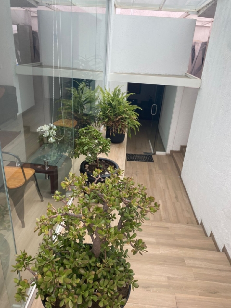 Suite Amueblada En Renta En Lomas Country Club