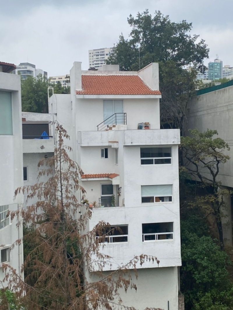 Suite Amueblada En Renta En Lomas Country Club