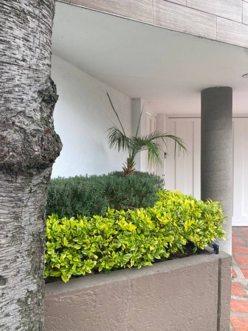 Suite Amueblada En Renta En Lomas Country Club