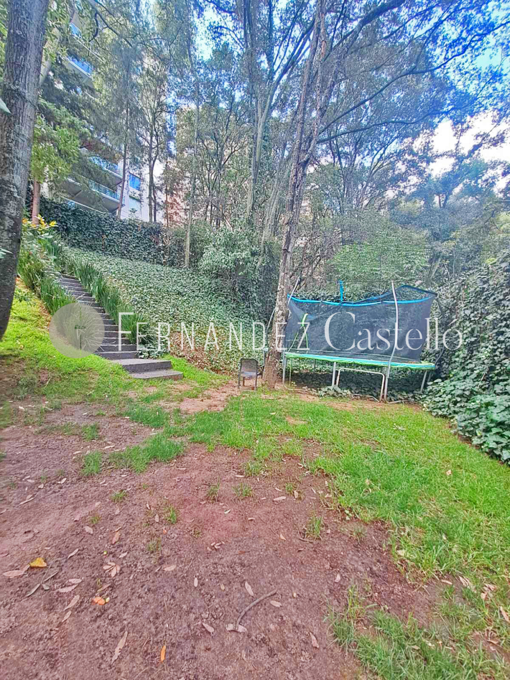 RENTA DEPARTAMENTO BOSQUE DE TEJOCOTES