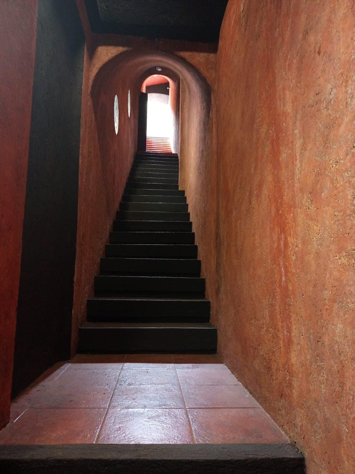 Bonita Casita En Renta En El Pedregal