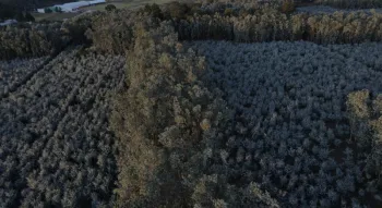 Terreno En Venta En Villa Victoria Estado De Mexico