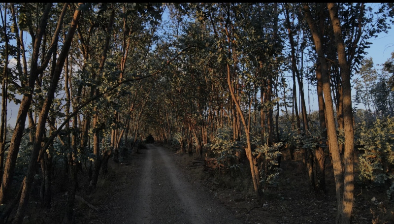 Terreno En Venta En Villa Victoria Estado De Mexico