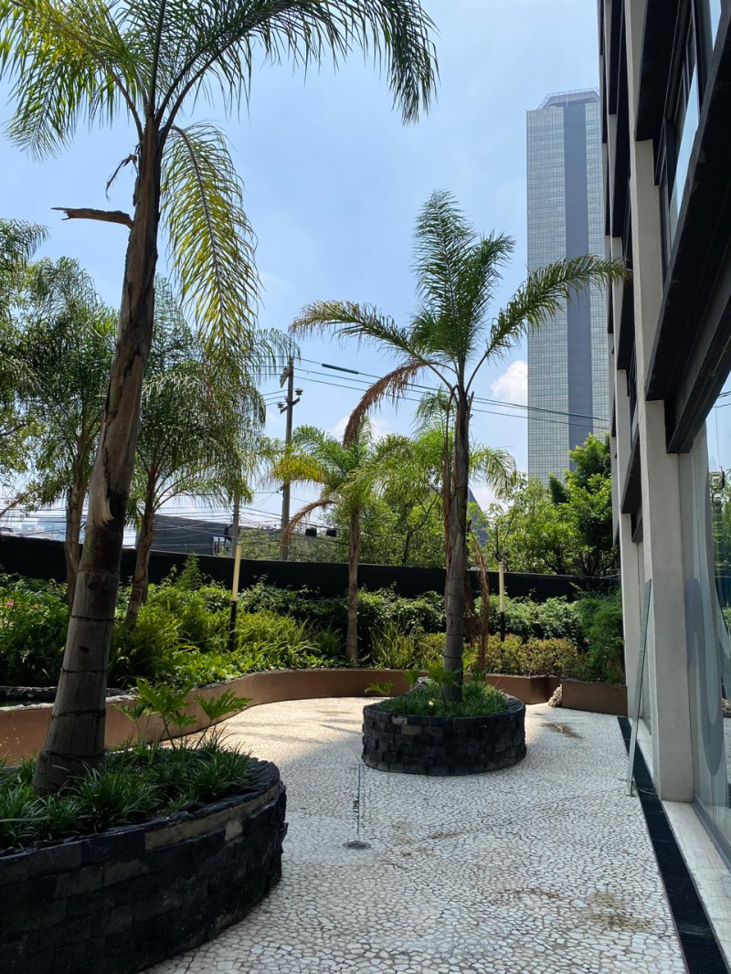 Departamento En Venta En Verónica Anzures