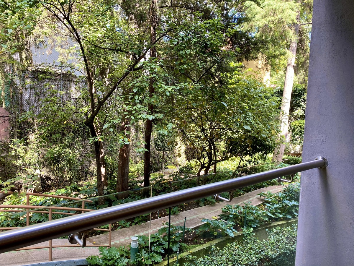 renta departamento lomas de chapultepec