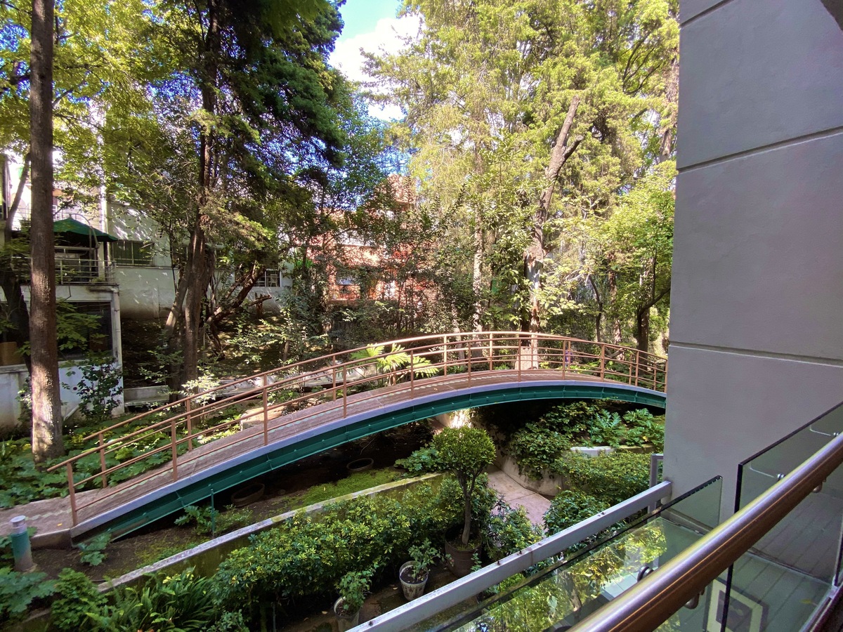 renta departamento lomas de chapultepec