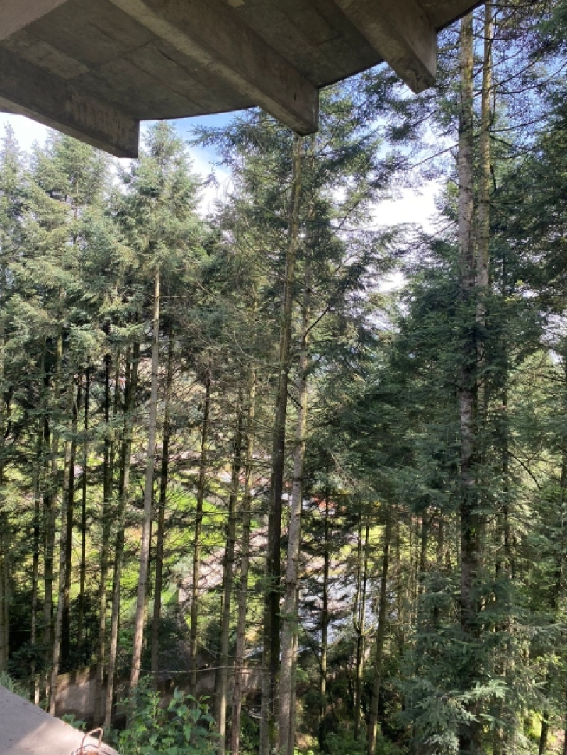 Terreno En Venta En Piedra Grande.