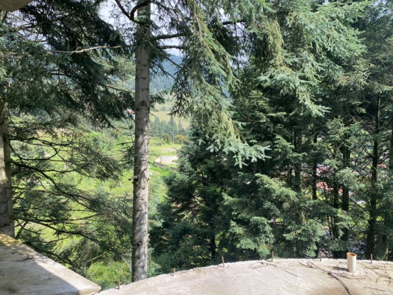 Terreno En Venta En Piedra Grande.