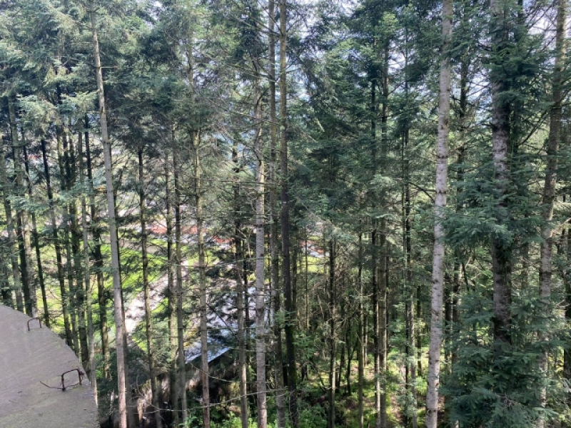 Terreno En Venta En Piedra Grande.