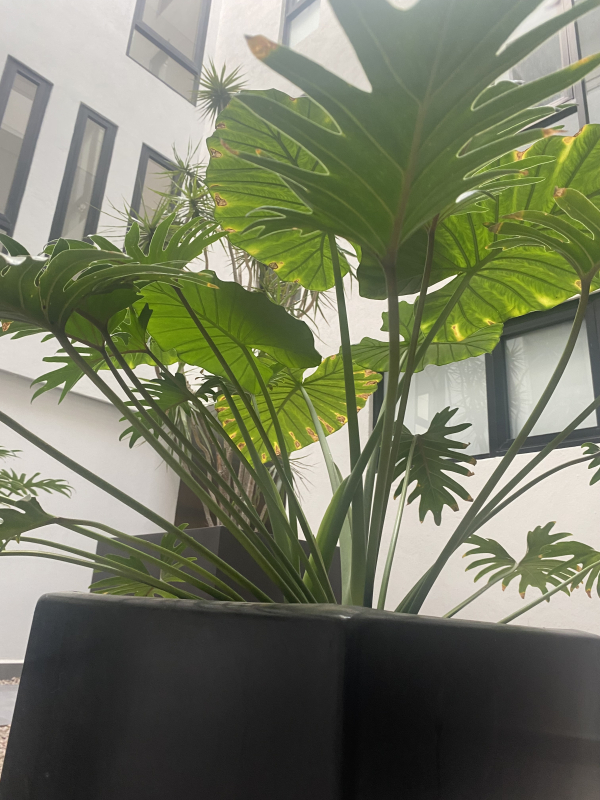 Pent House En Venta En Zibatá.