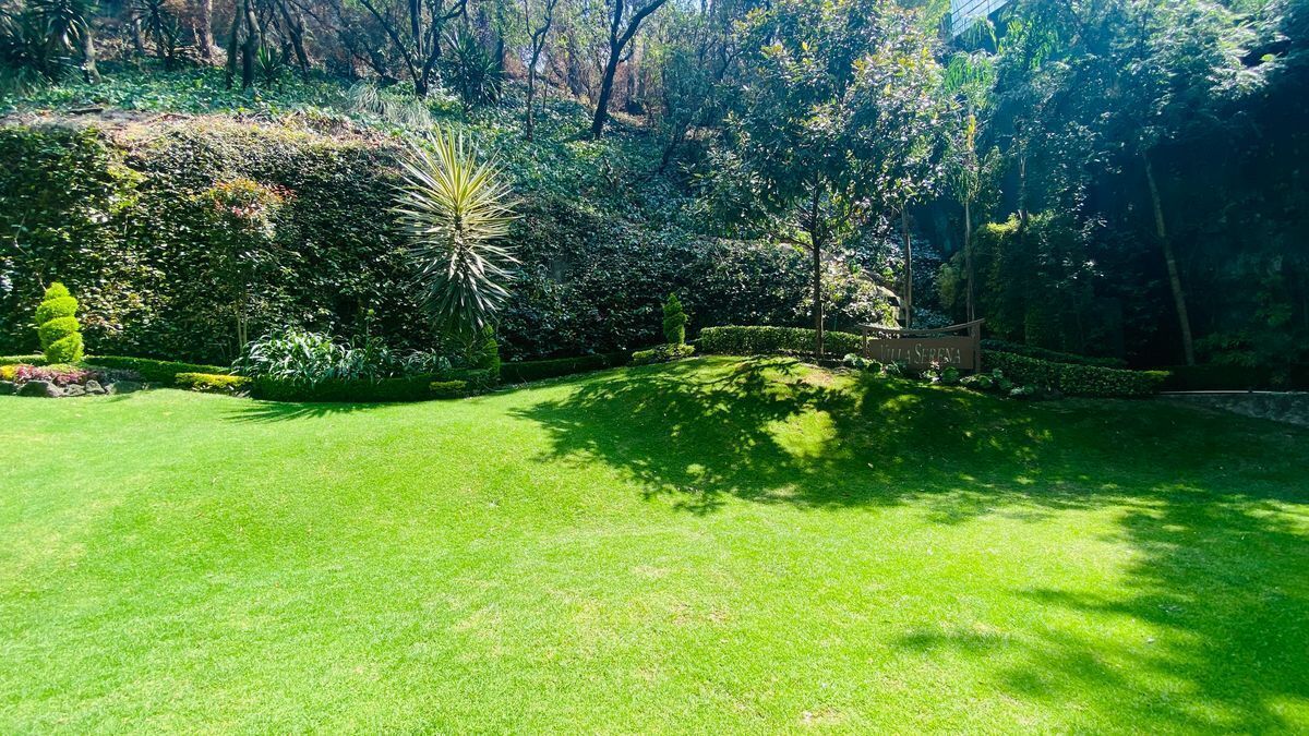 departamento renta lomas country