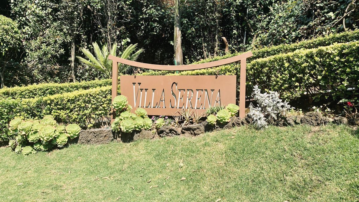 departamento renta lomas country