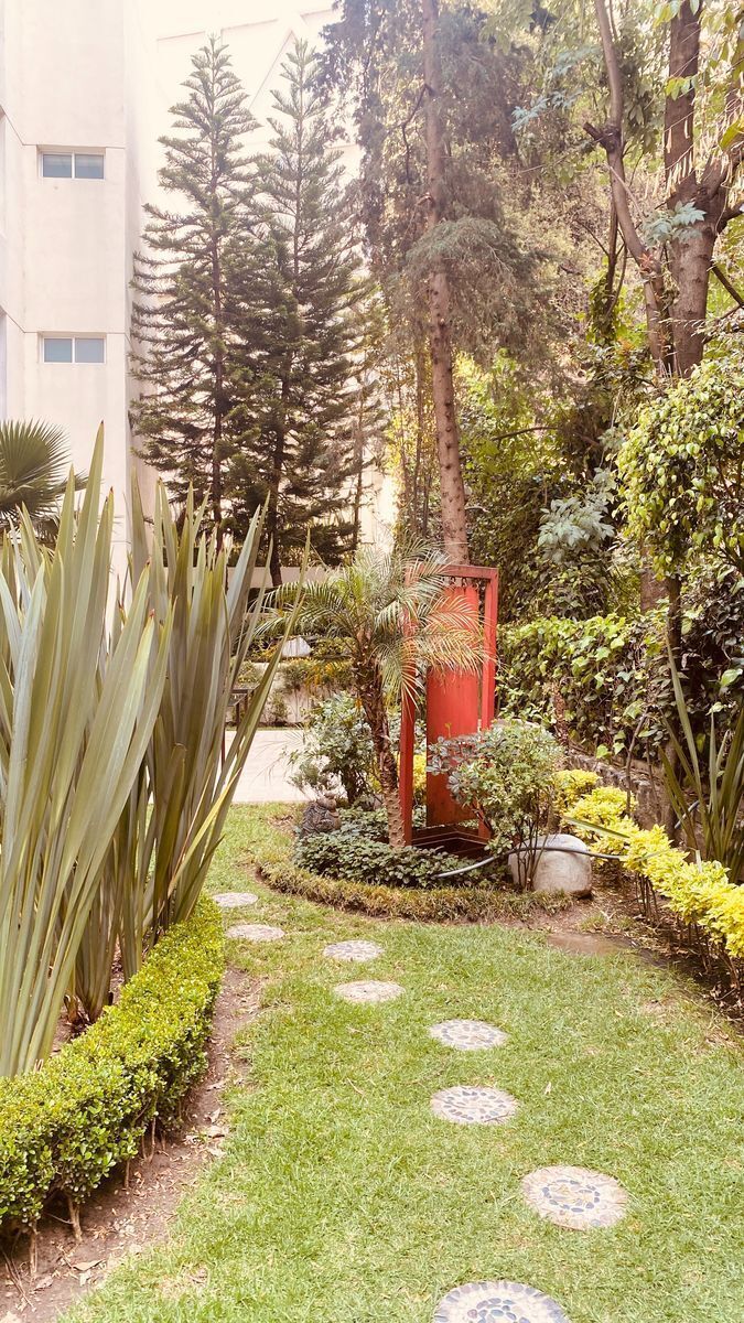 departamento renta lomas country