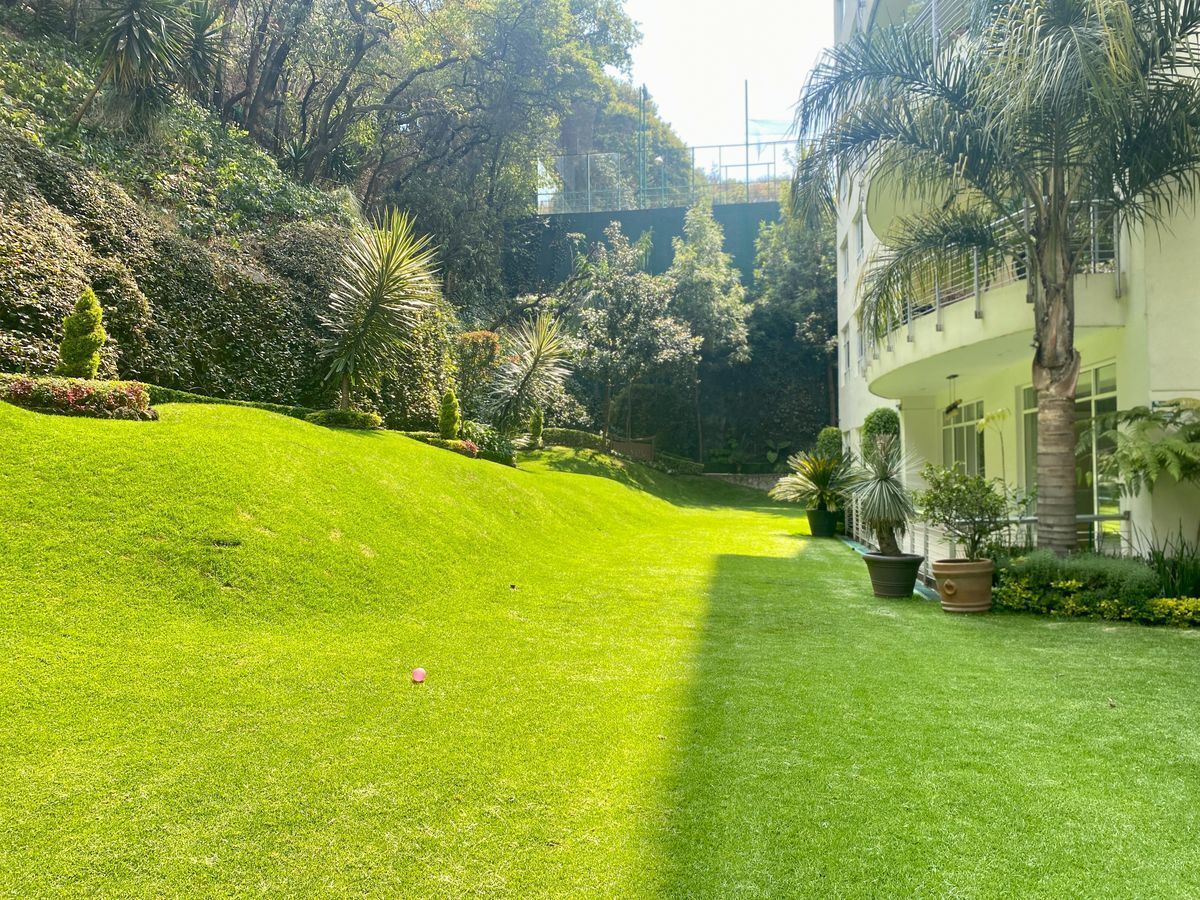 departamento renta lomas country