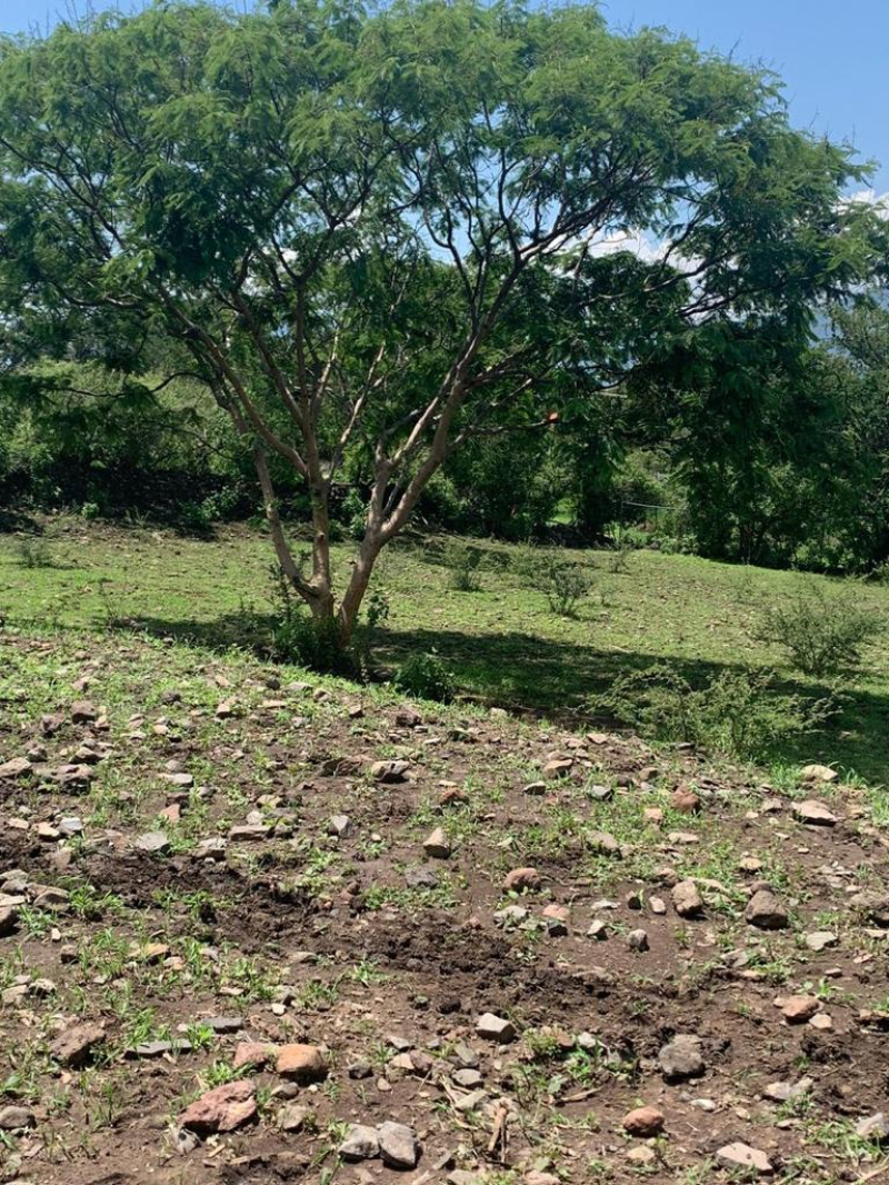 Terreno En Venta En Jaltepec 