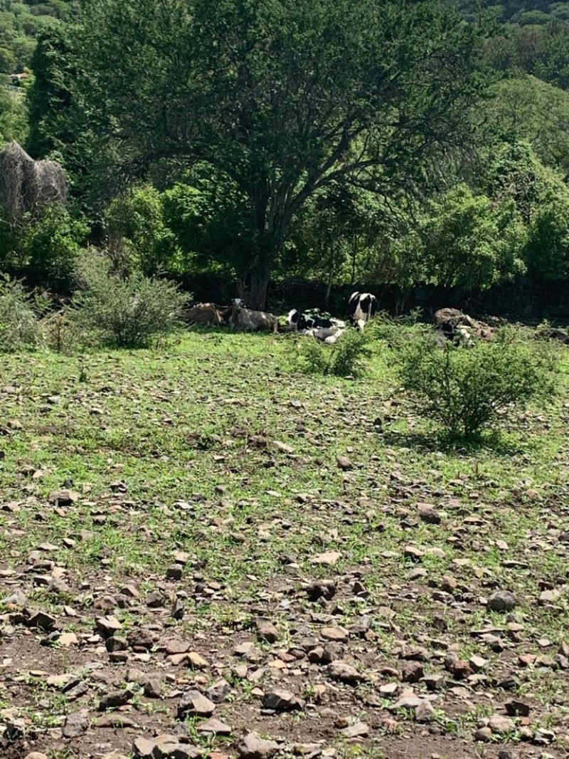 Terreno En Venta En Jaltepec 