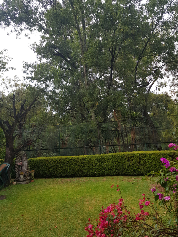 Casa En Venta En Lomas De Chapultepec I Seccion