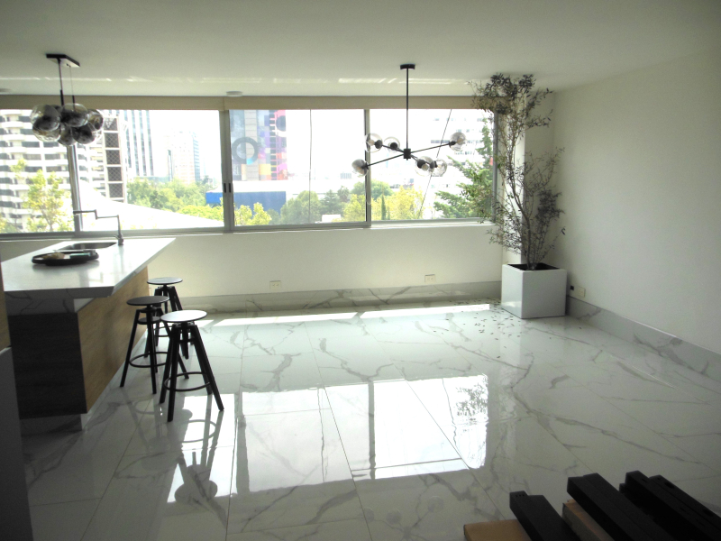 Departamento Renta Polanco Lope De Vega 