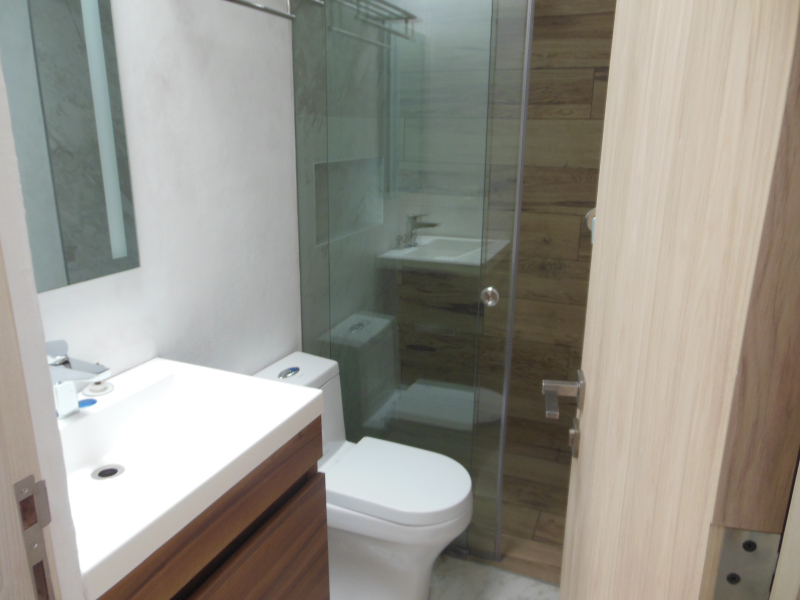 Departamento Renta Polanco Lope De Vega 