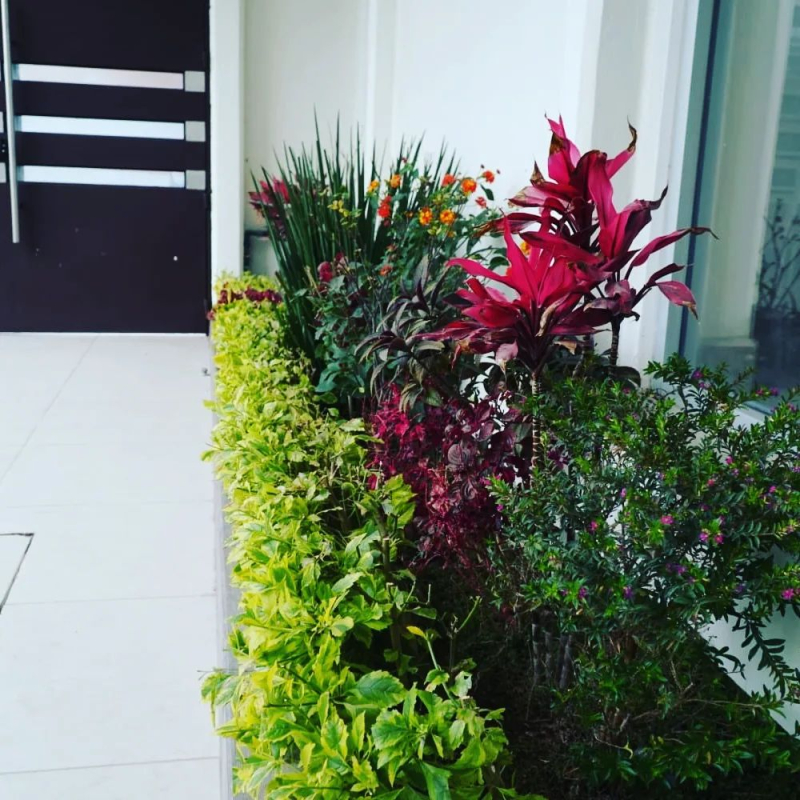 Casa En Venta Para Inversión En Santa Rosa De Lima
