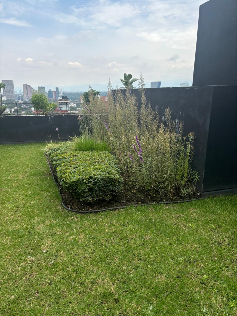 Departamento Renta En Livix Polanco 