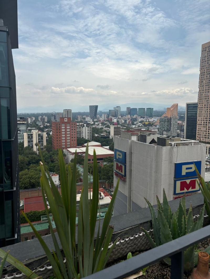 Departamento Renta En Livix Polanco 