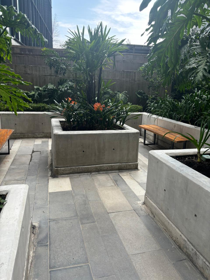 Departamento Renta En Livix Polanco 