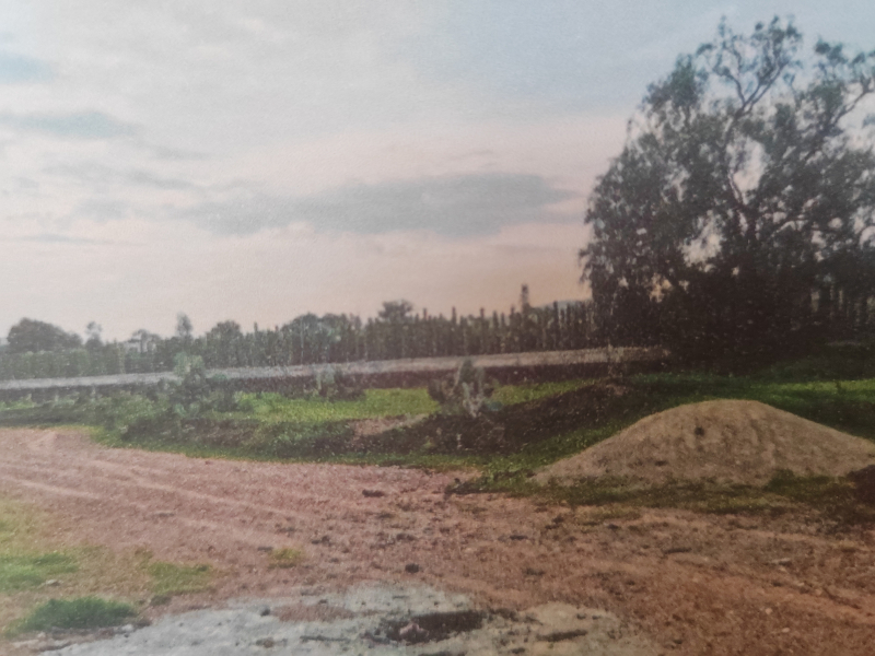 Terreno En Venta En San Antonio De Las Palmas 