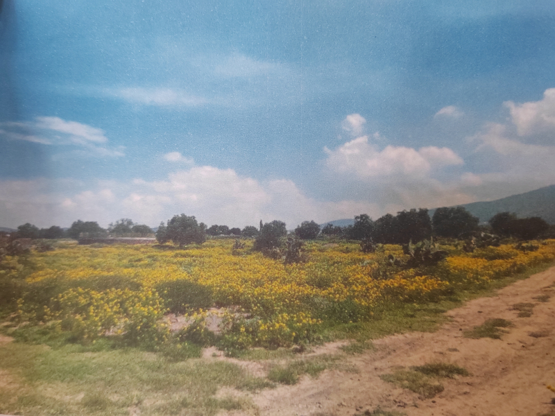 Terreno En Venta En San Antonio De Las Palmas 
