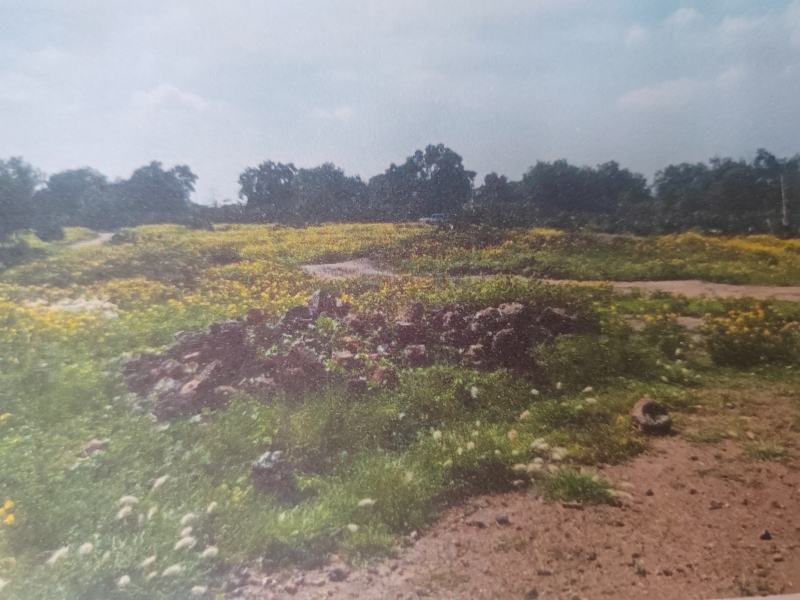 Terreno En Venta En San Antonio De Las Palmas 