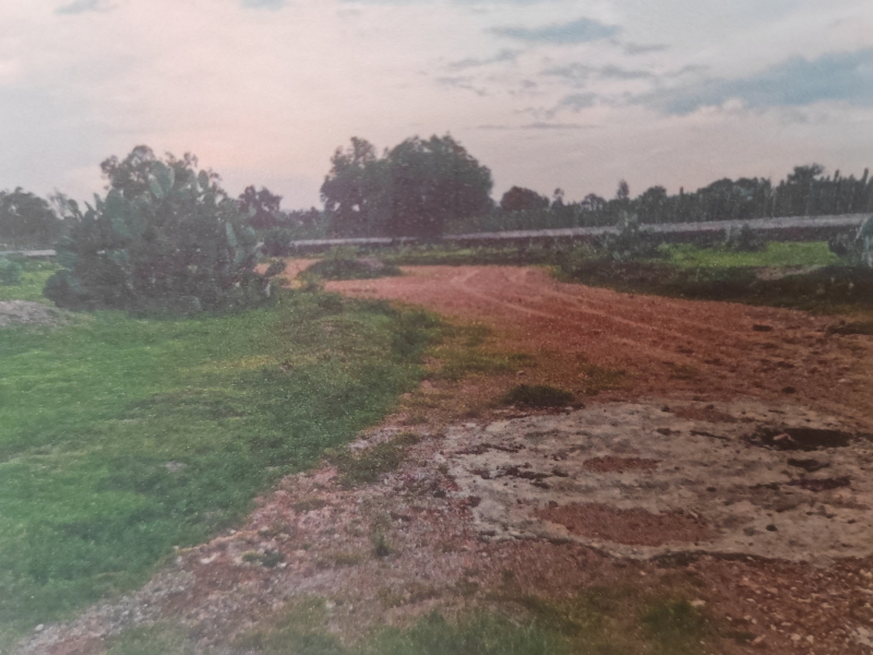 Terreno En Venta En San Antonio De Las Palmas 