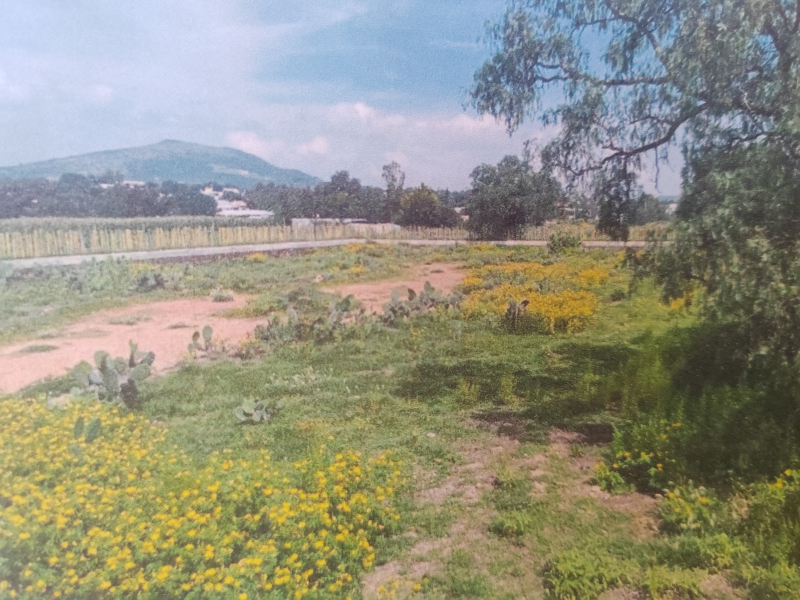 Terreno En Venta En San Antonio De Las Palmas 