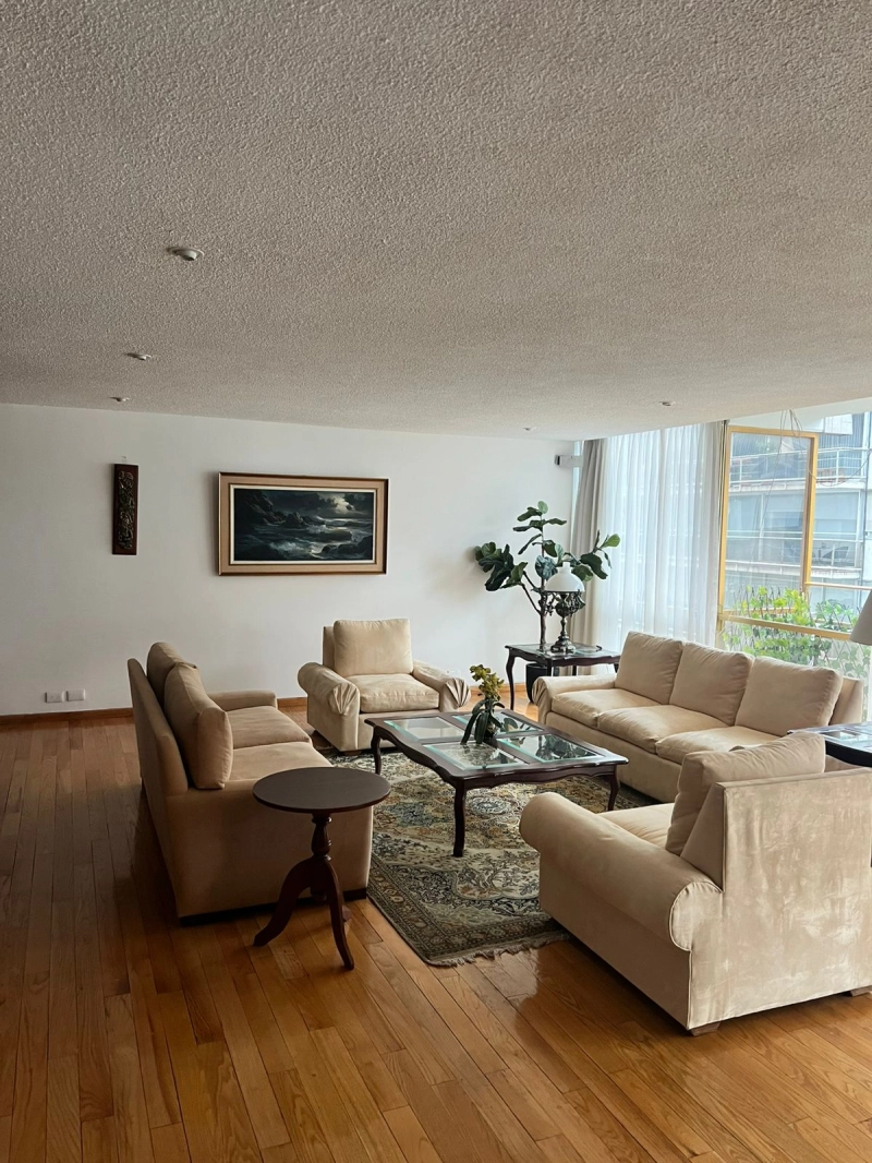 Departamento en Renta Amueblado en Polanco Blas Pascal