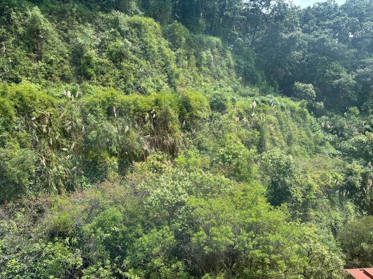 venta departamento lomas country