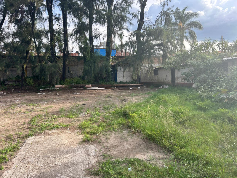 Terreno En Venta En El Colli Urbano