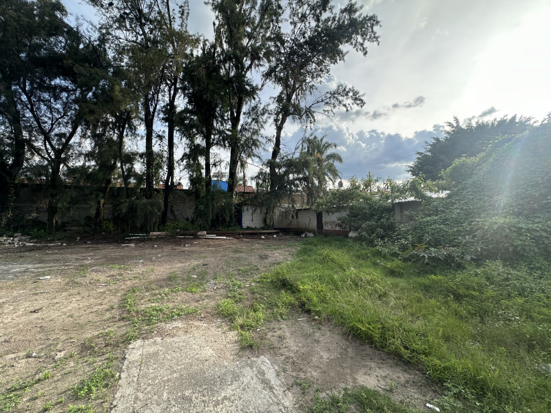 Terreno En Venta En El Colli Urbano