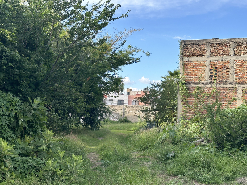 Terreno En Venta En El Colli Urbano
