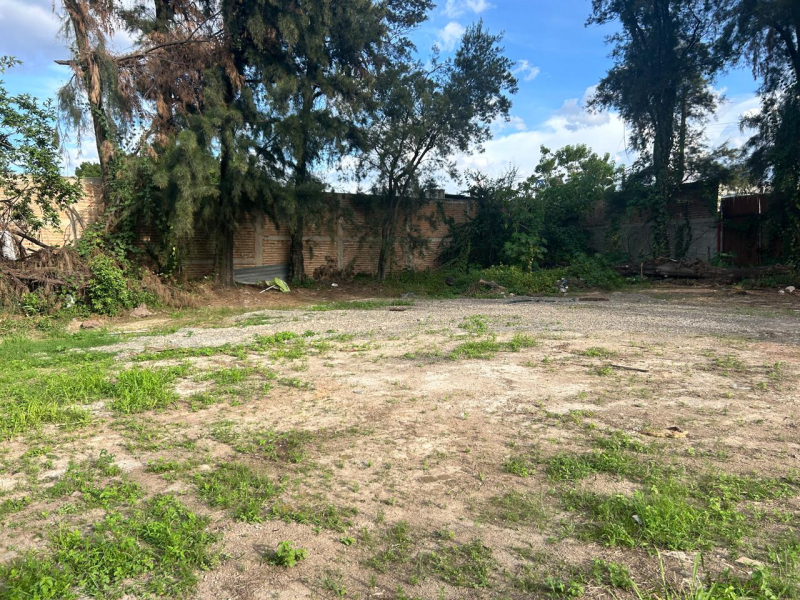 Terreno En Venta En El Colli Urbano