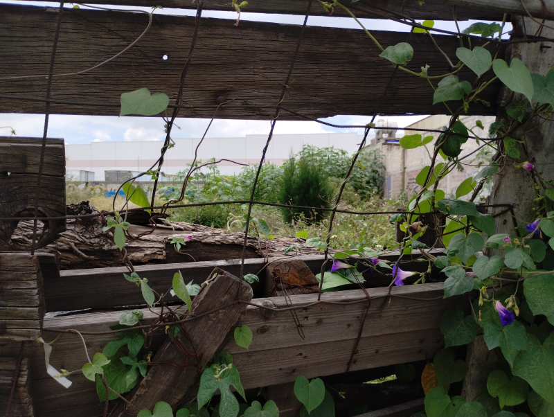 Terreno en Venta en Las AmÃ©ricas