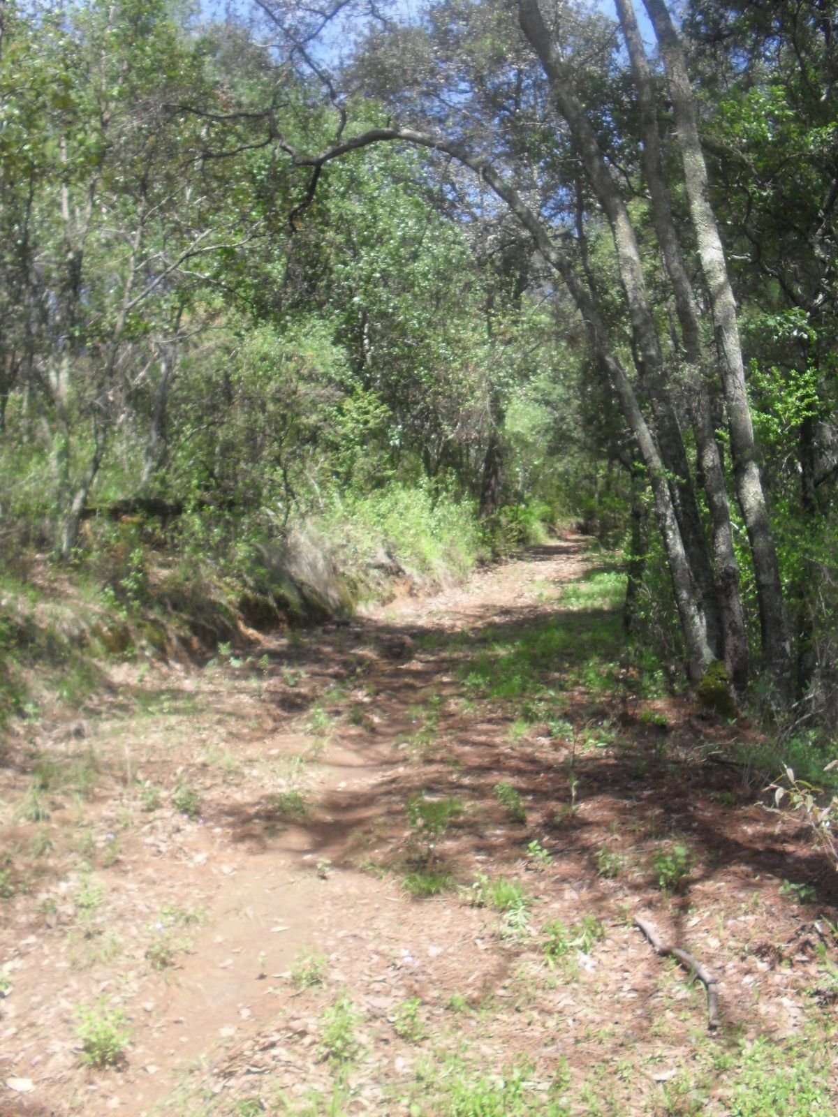 Muy buen terreno en venta en Rancho San Simón