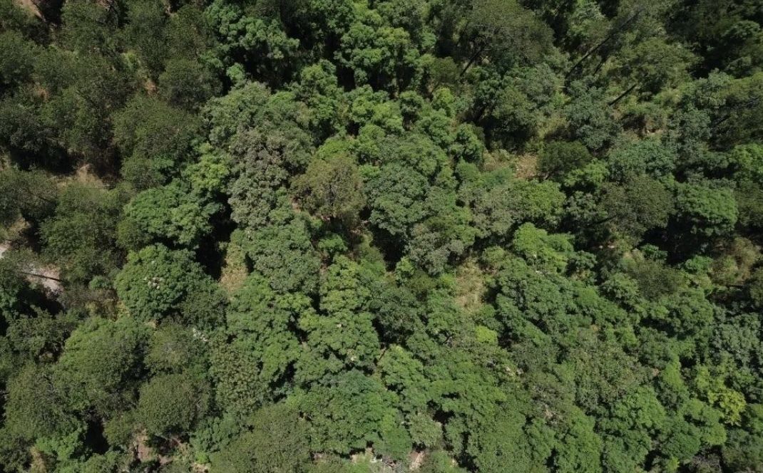 Muy buen terreno en venta en Rancho San Simón