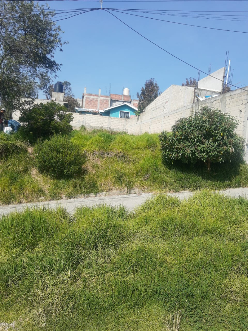 Terreno En Venta En Metepec 