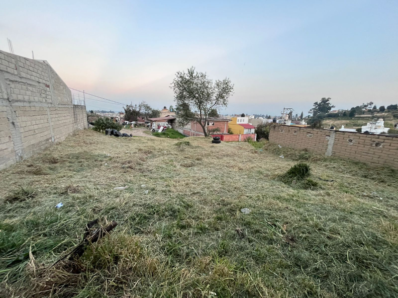 Terreno En Venta En Metepec 