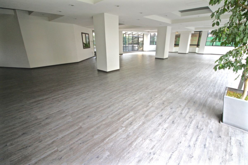 LOMAS PARTE BAJA | DEPARTAMENTO VISTA A BOSQUE DE CHAPULTEPEC | VENTA