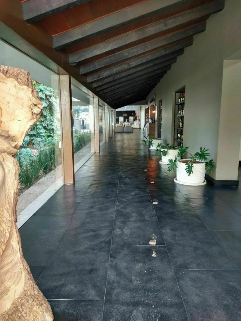 Departamento En Renta Amueblado En Guadalajara