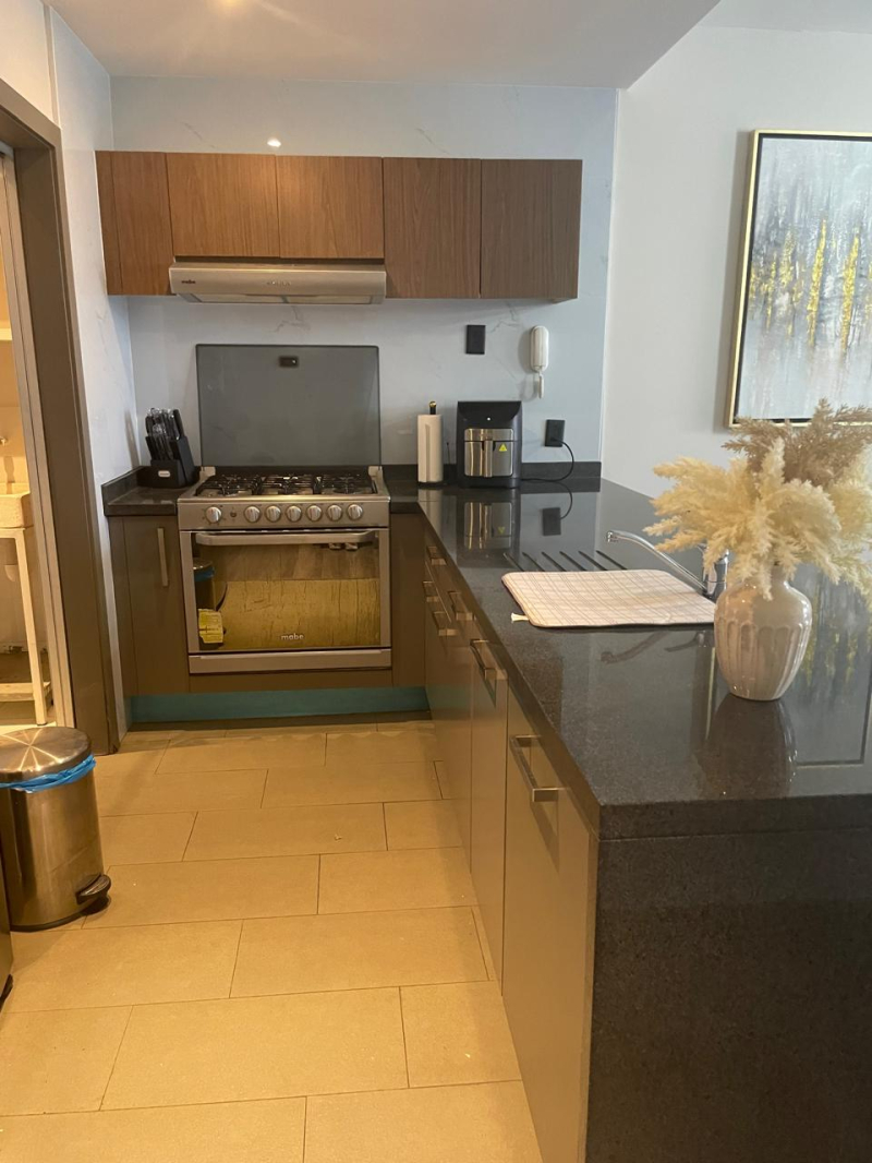 SE RENTA DEPARTAMENTO AMUEBLADO  EN BE GRAND COL.ANAHUAC MIGUEL HIDALGO, CDMX