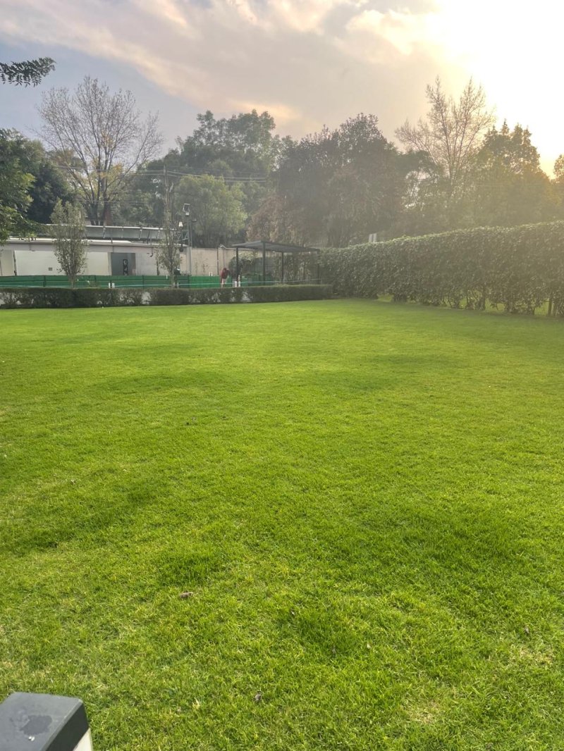 SE RENTA DEPARTAMENTO AMUEBLADO  EN BE GRAND COL.ANAHUAC MIGUEL HIDALGO, CDMX