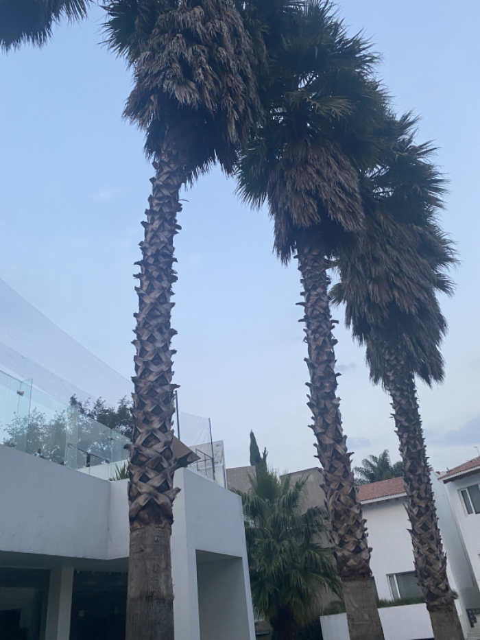 Casa En Venta En Lomas Country Club